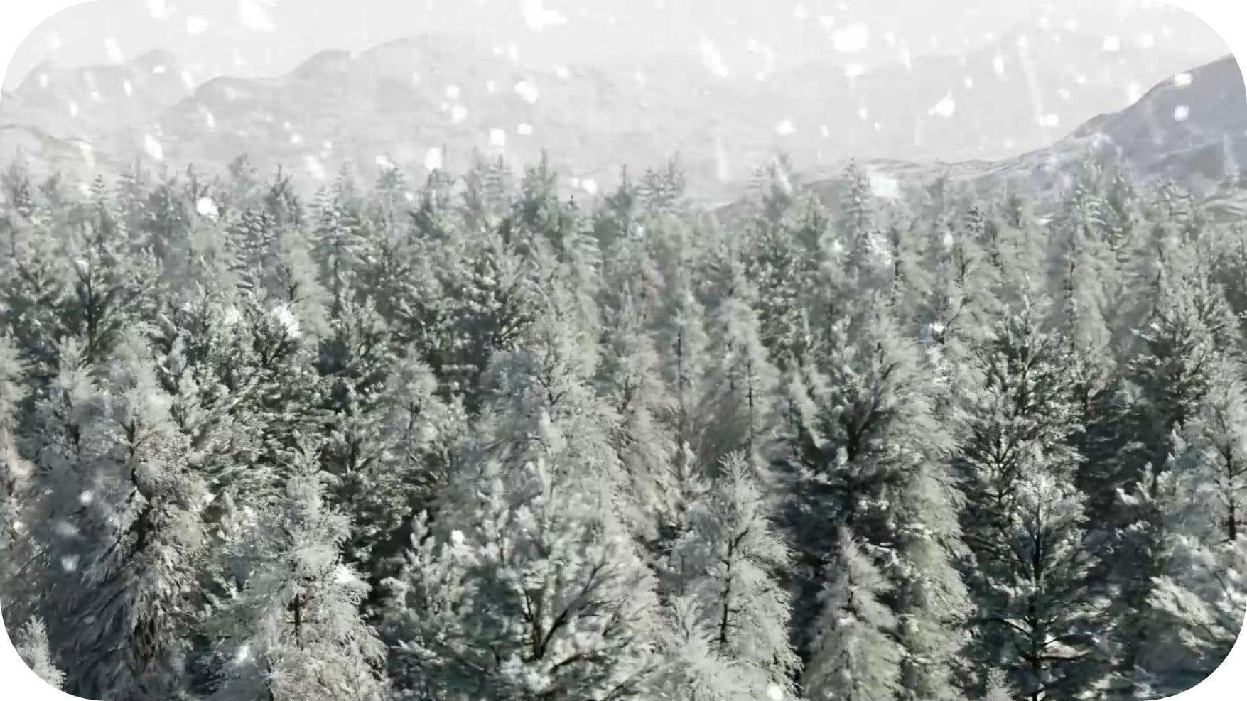 산림청_2022 세계산림총회(WFC)